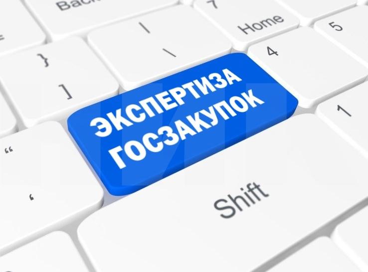 экспертиза госзакупок
